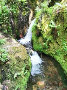 Wasserfall 2
